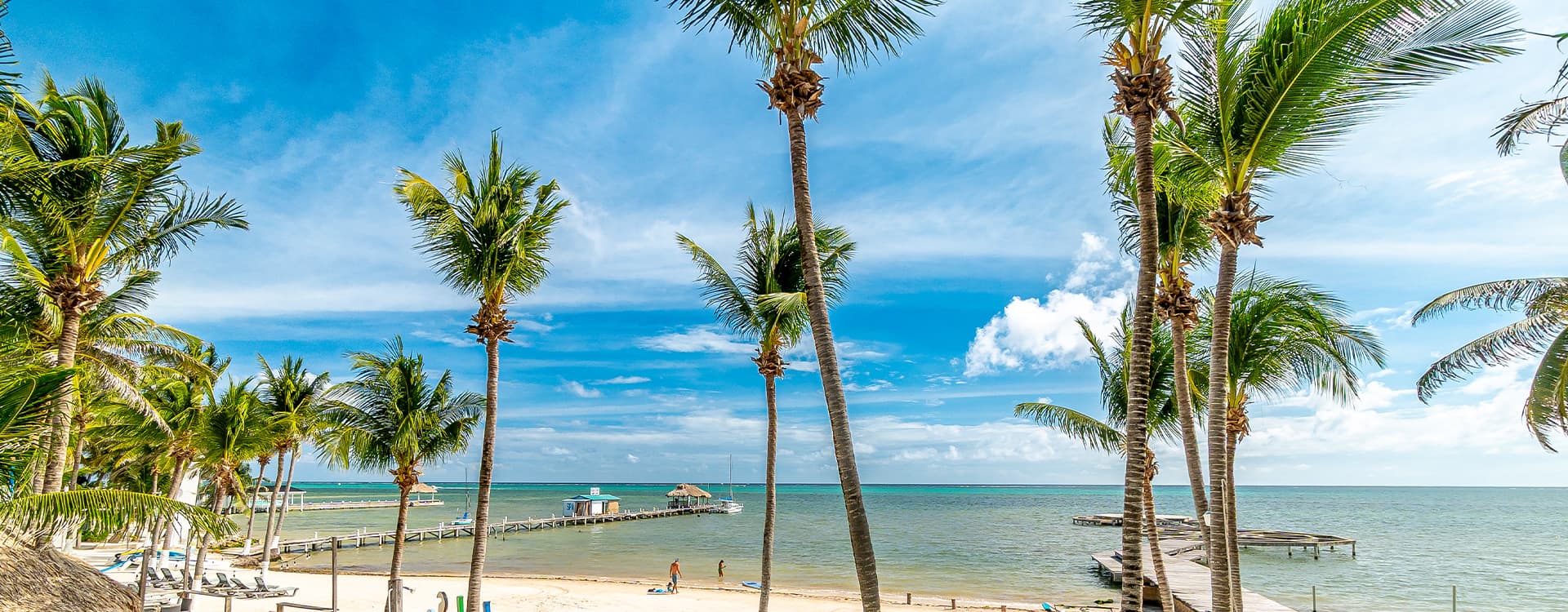 A tropical beach view with palm trees and a pier under a blue sky.